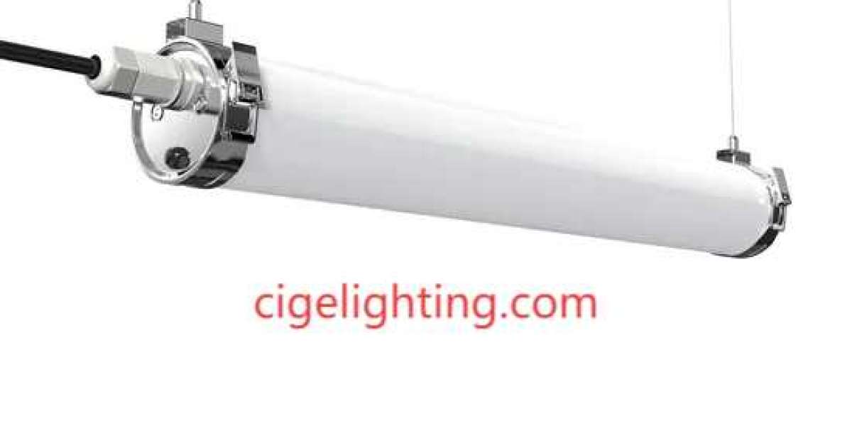 How Cigelighting Enhances Veterinary Outcomes with 36w Led Triproof Light