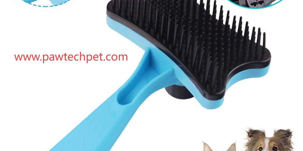Discover Pawtechpet's Innovative Approach to Stress-Free Grooming