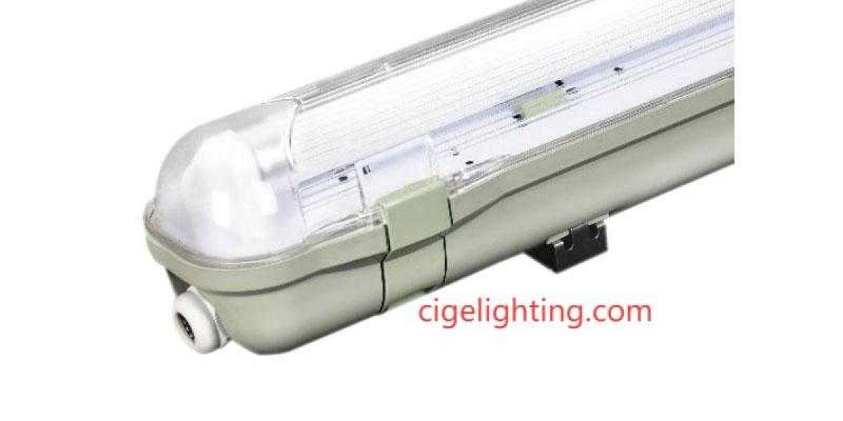 Dry Inside: Cigelighting Ip65 Waterproof Fixture