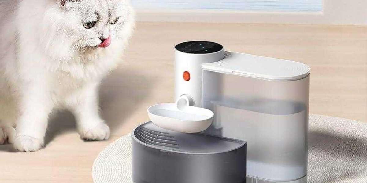 What Makes Pawtechpet Cat Water Fountain Unique