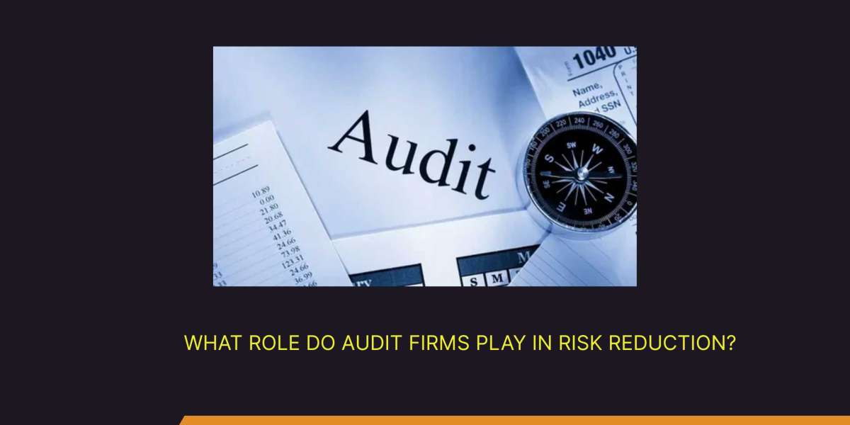 What Role Do Audit Firms Play in Risk Reduction?