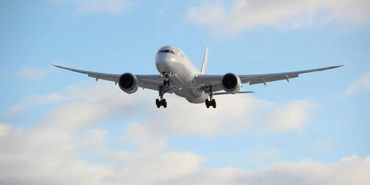 Flighta's Road-Trip Connection Travel Experience