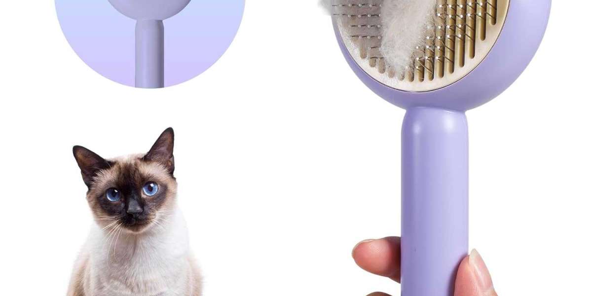 Stylish & Durable Collars: Comfort and Safety for Your Pet