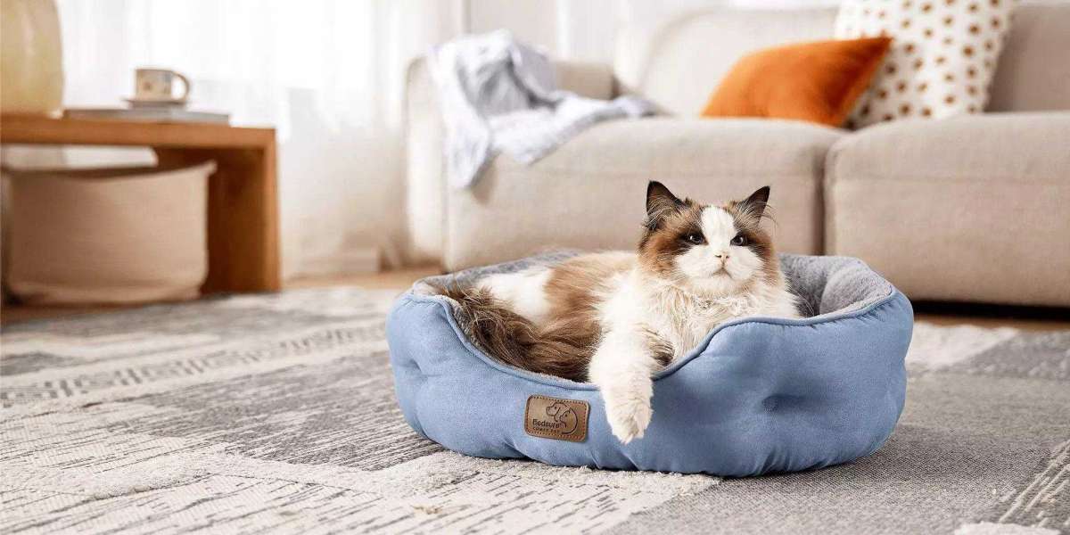 From Materials to Design: High-Quality Pet Essentials Guide