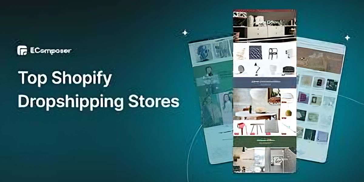 Best Ready-Made Shopify Dropshipping Stores for Beginners