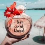 jhnmrks Profile Picture