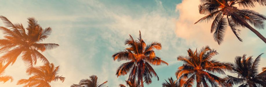 Rose Ginny Cover Image