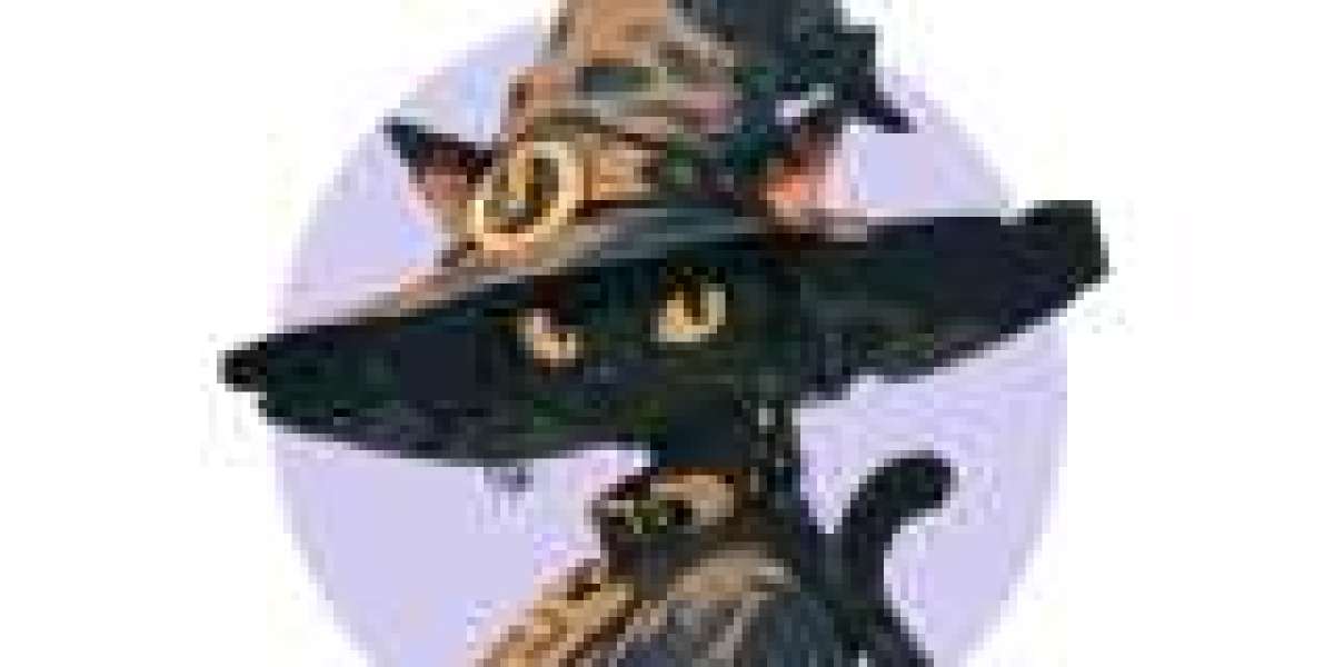 Top DnD 5e Books PDF for Dungeon Masters and Players