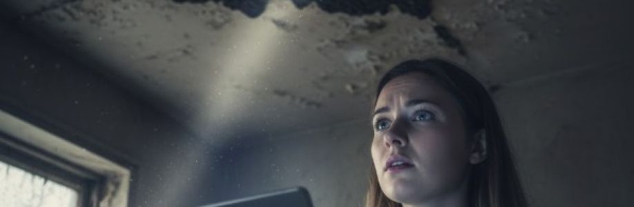 flood restorationmelbourne Cover Image