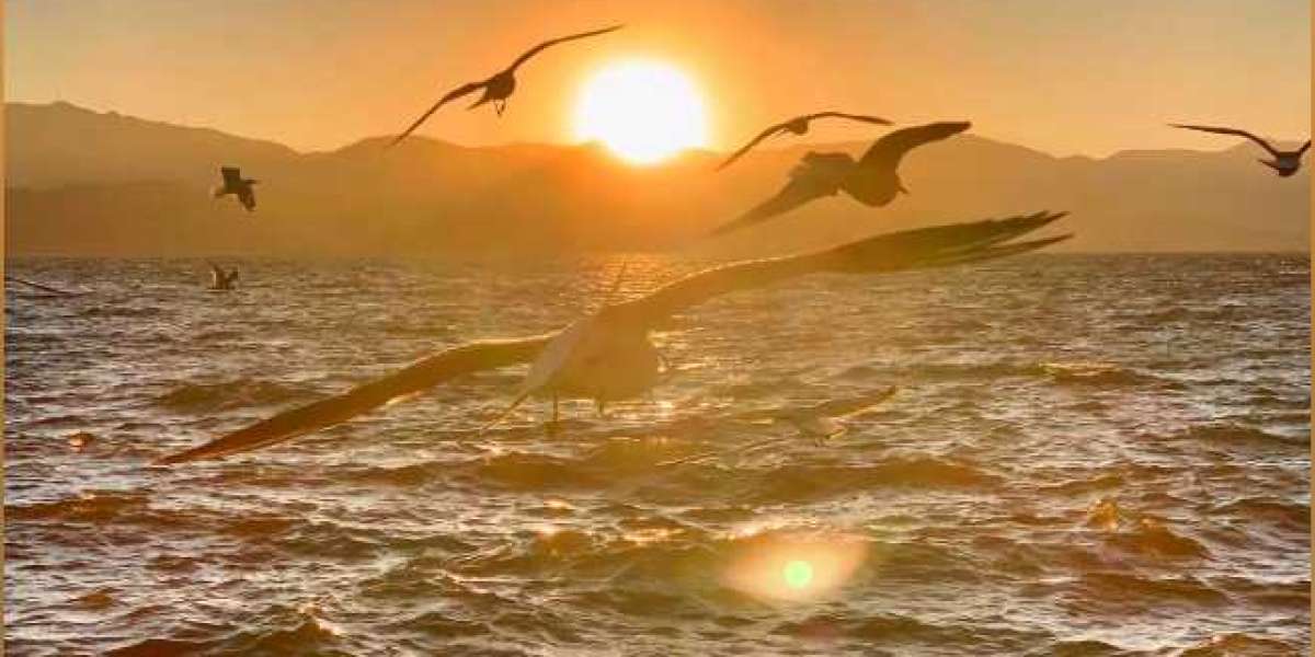 U4GM Tips D4 Season 12 Whisper Weaving to WT3 Capstone Fast