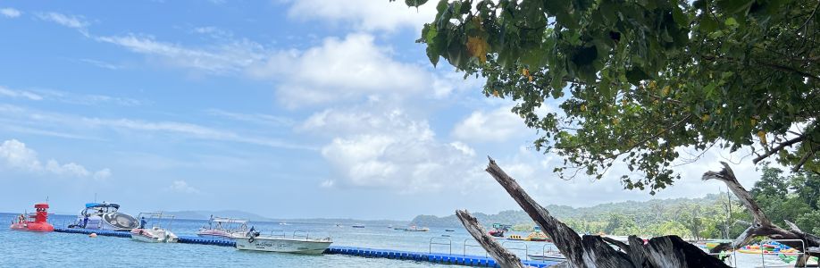 Go Andaman Holidays Cover Image