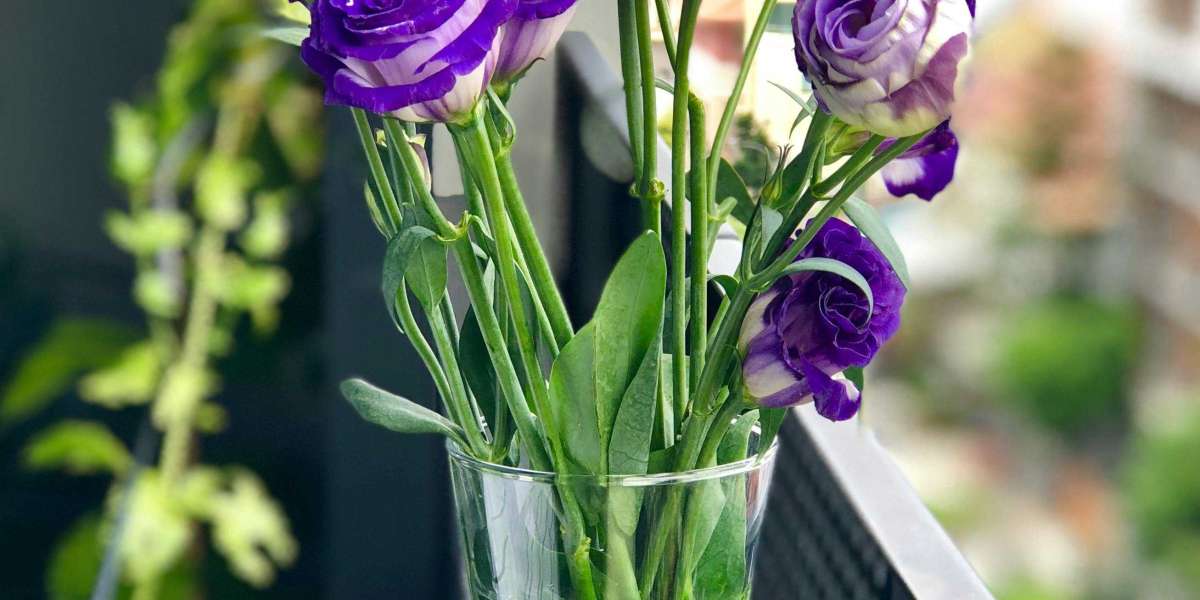 U4GM Tips on Diablo 4 Tower gear the top players use