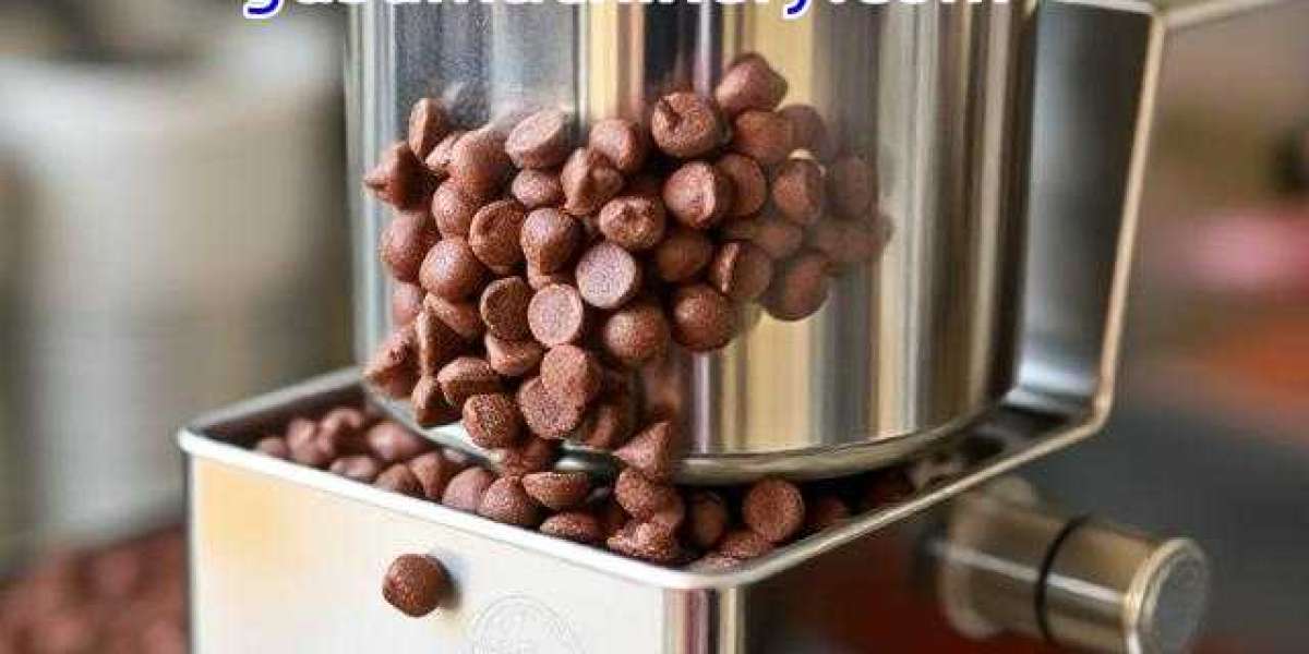 How Gusu Chocolate Chips Machine Factory Equipment Keeps Daily Output Consistent