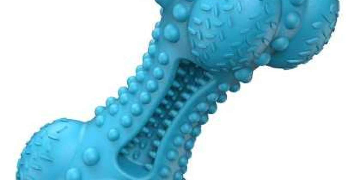ZhuoxinPet's Ultimate Chew Proof Squeaky Dog Toy for Happy Pets