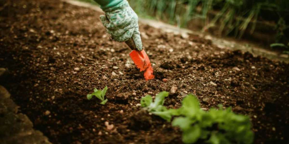 Що потрібно для вдалого старту власного городу: практичний підхід до першого сезону