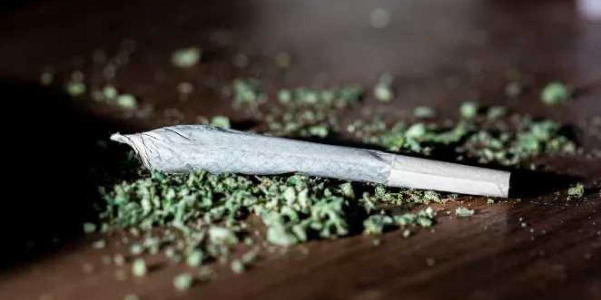 How Much Weed Should You Put in a Joint? (Beginner’s Guide)