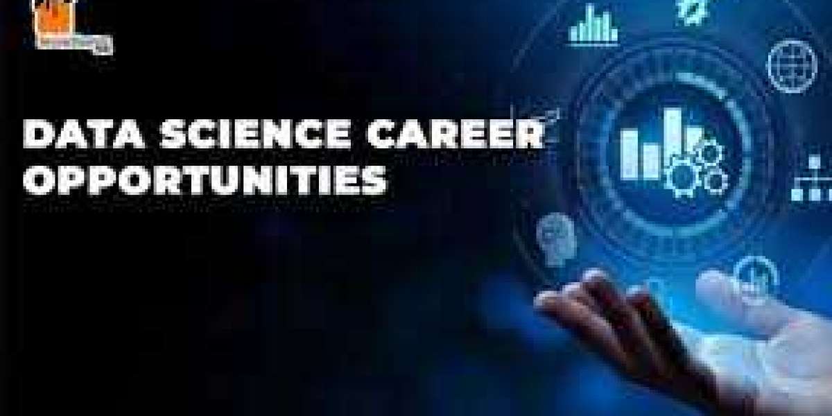 Understanding Internship Expectations in Data Science Training: Why Quality Experience Matters