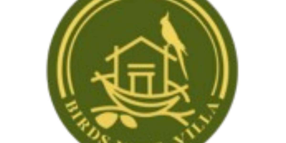 Birds Nest Villa: The Ultimate Villa for Private Celebrations in Malad West