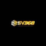 sv368comco Profile Picture