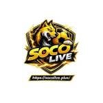 socolive pluse Profile Picture