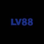 lv8899 net Profile Picture
