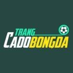 Trangcadobongda news Profile Picture