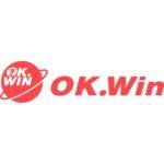 Okwin Game Profile Picture